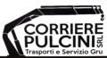 Corriere Pulcini – Trasporti conto terzi Logo
